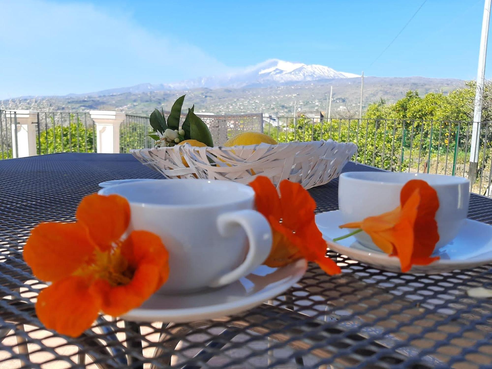 Вилла Zagara Маскали Номер фото